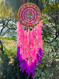 Pink Orchid Large Dream Catcher